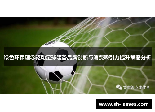 绿色环保理念驱动足球装备品牌创新与消费吸引力提升策略分析