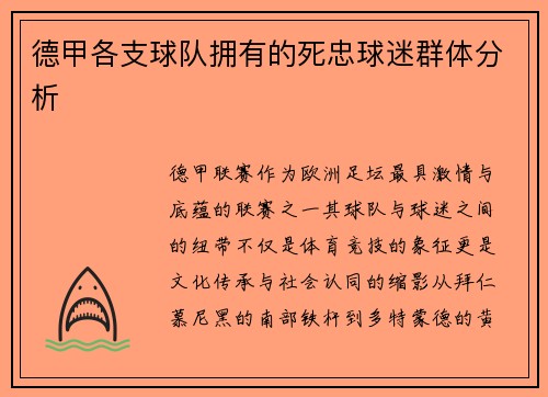 德甲各支球队拥有的死忠球迷群体分析