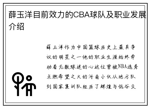 薛玉洋目前效力的CBA球队及职业发展介绍
